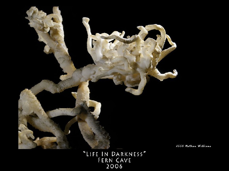 life_in_darkness_wallpaper 