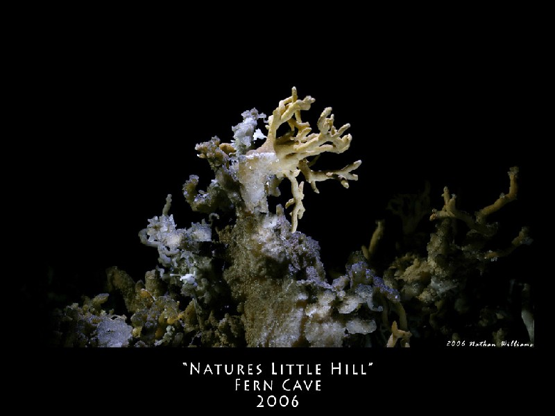 natures_little_hill_wallpaper 