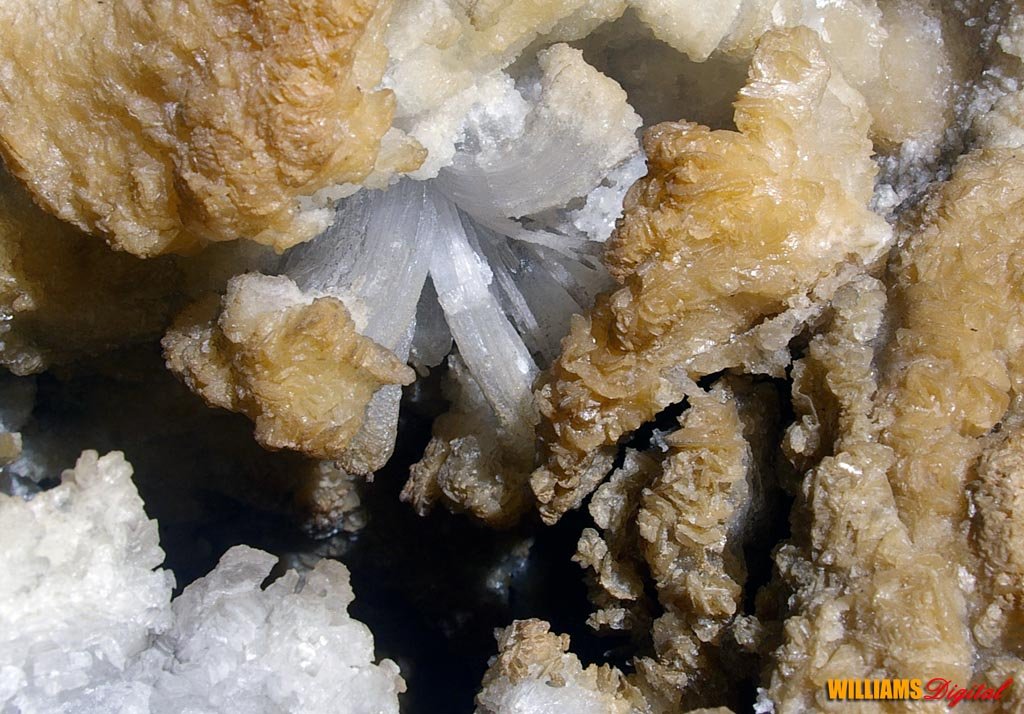 gypsum1 