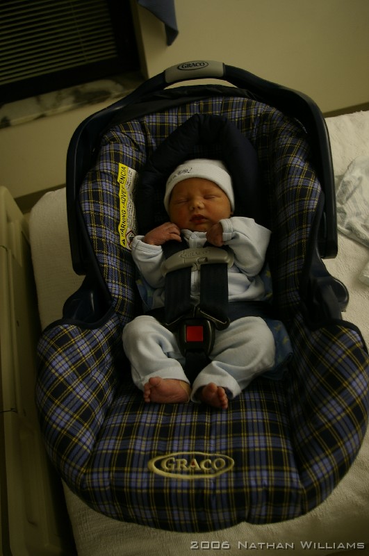 landon00005 all strapped in